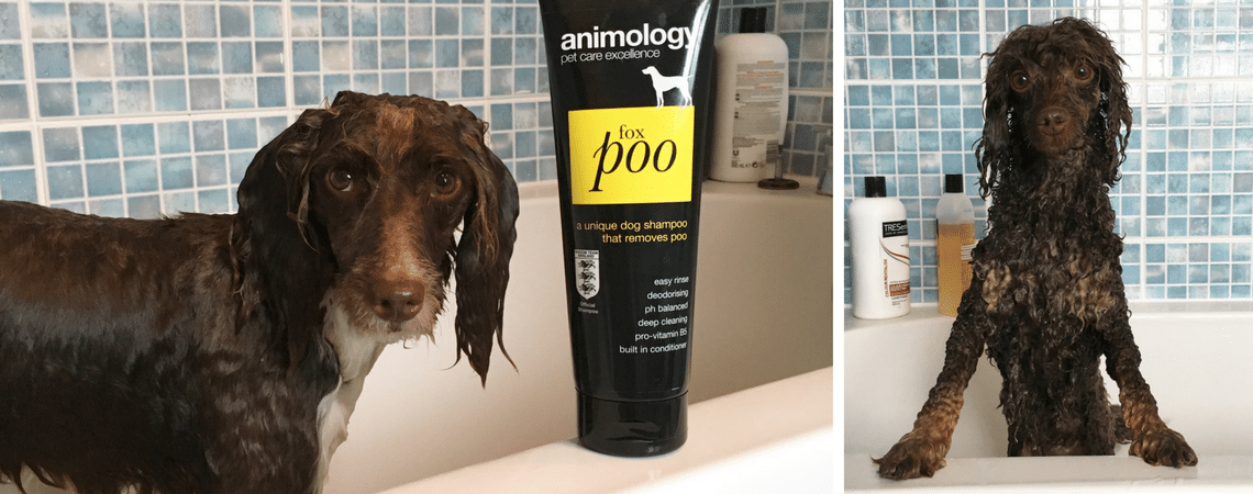Tried & Tested: by Adventures of Doodles