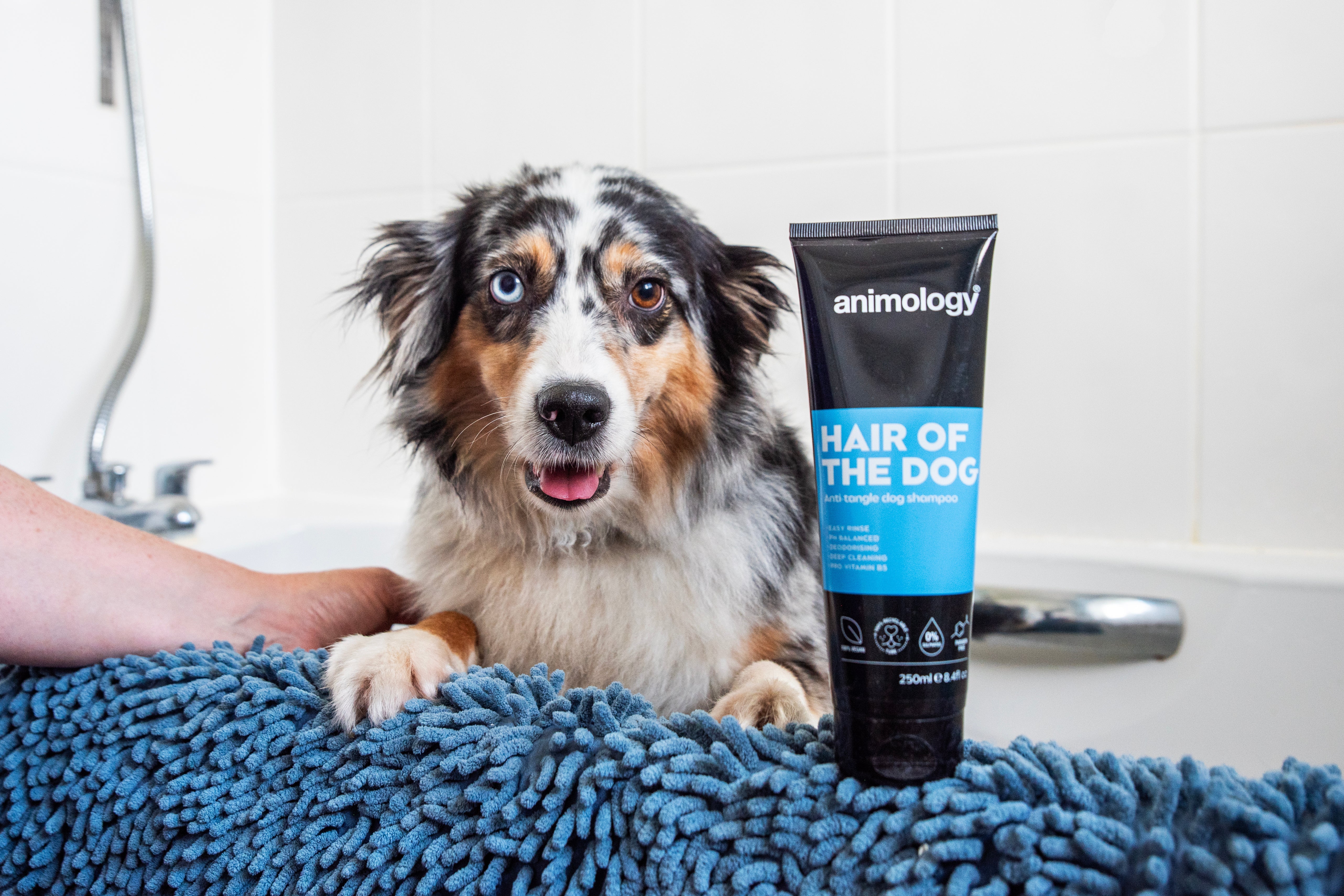 Dog Shampoo & Conditioner