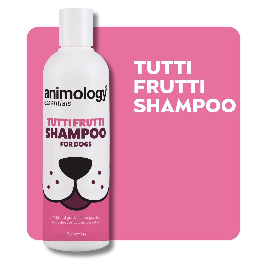 Essentials Tutti Frutti Shampoo 250ml Animology