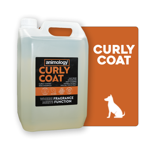 Curly Coat Dog Shampoo 5L