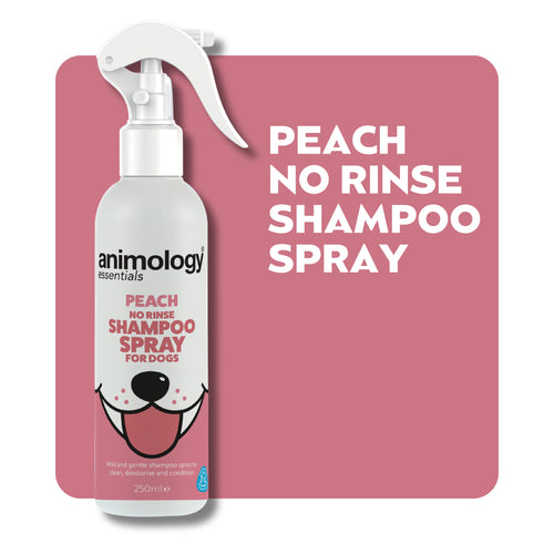 Essentials Peach No Rinse Shampoo Spray 250ml