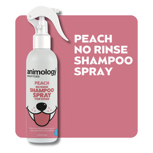 Essentials Peach No Rinse Shampoo Spray 250ml