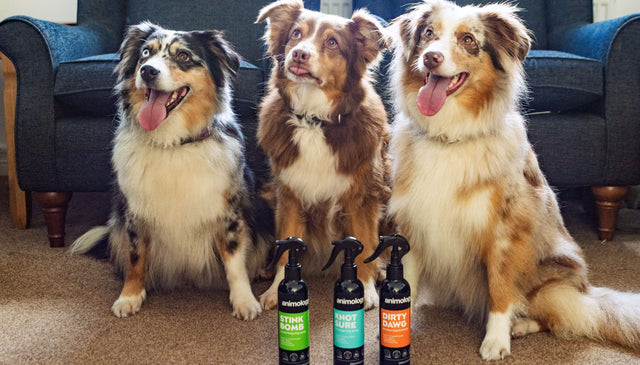 Dog Deodorising Sprays, 250ml