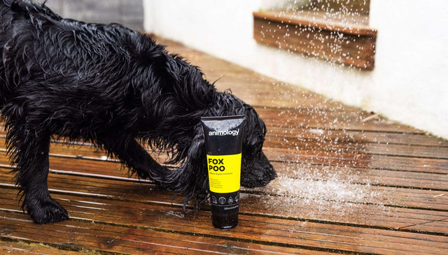 Dog Shampoo & Conditioner, 250ml