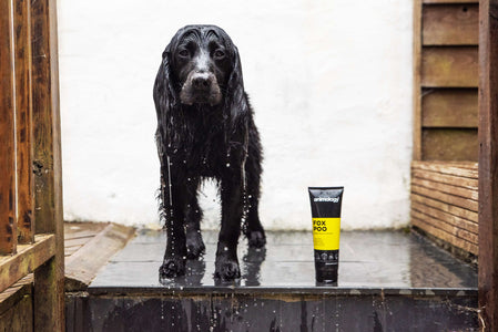 Dog having 'Fox poo' being used on them by Animology.