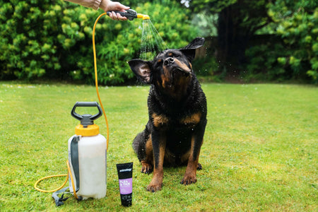 Dog having 'Flea & Tick' being used on them by Animology.