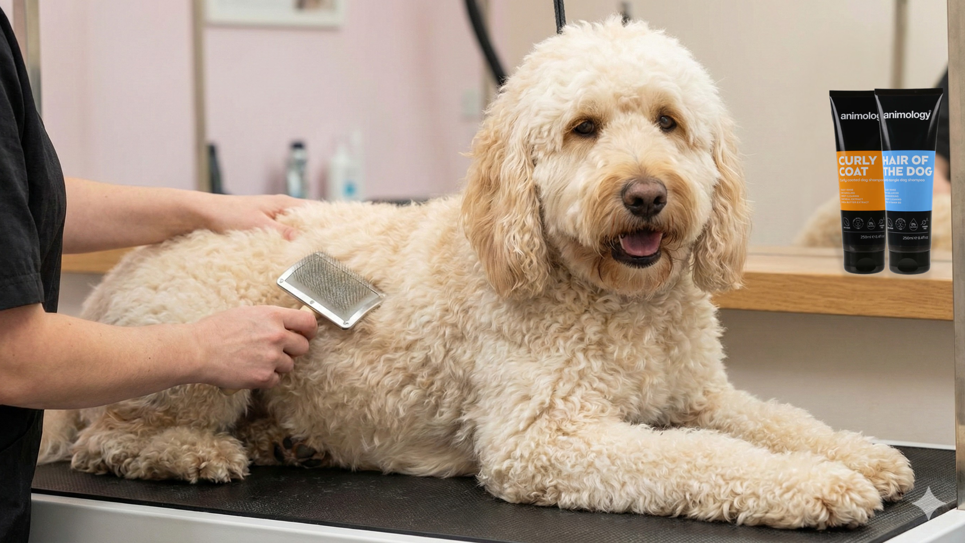 The Knotty Truth: How to Stop Matting Before It Starts