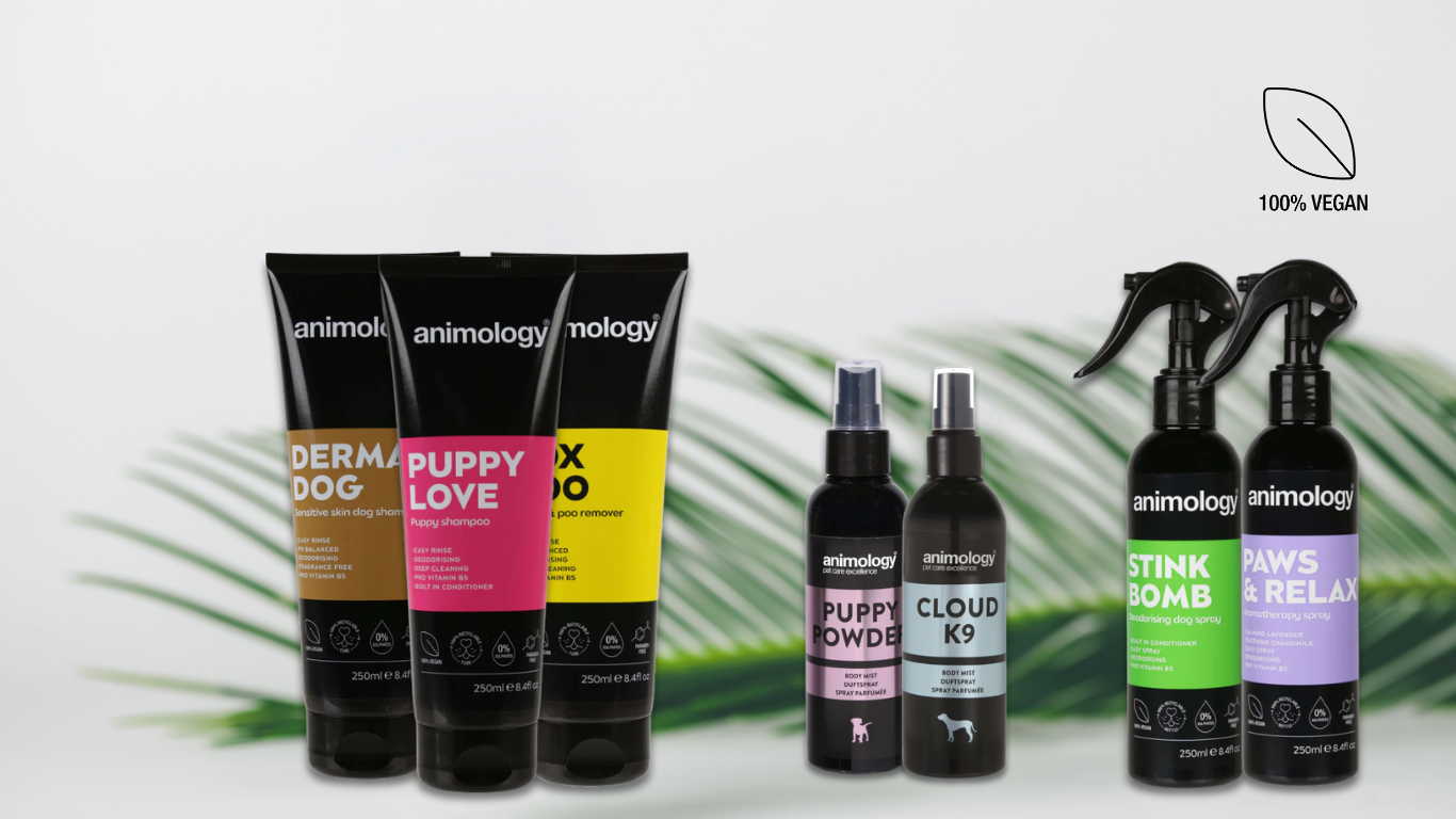 What Makes a Dog Shampoo ‘Vegan’ – And Why It Matters