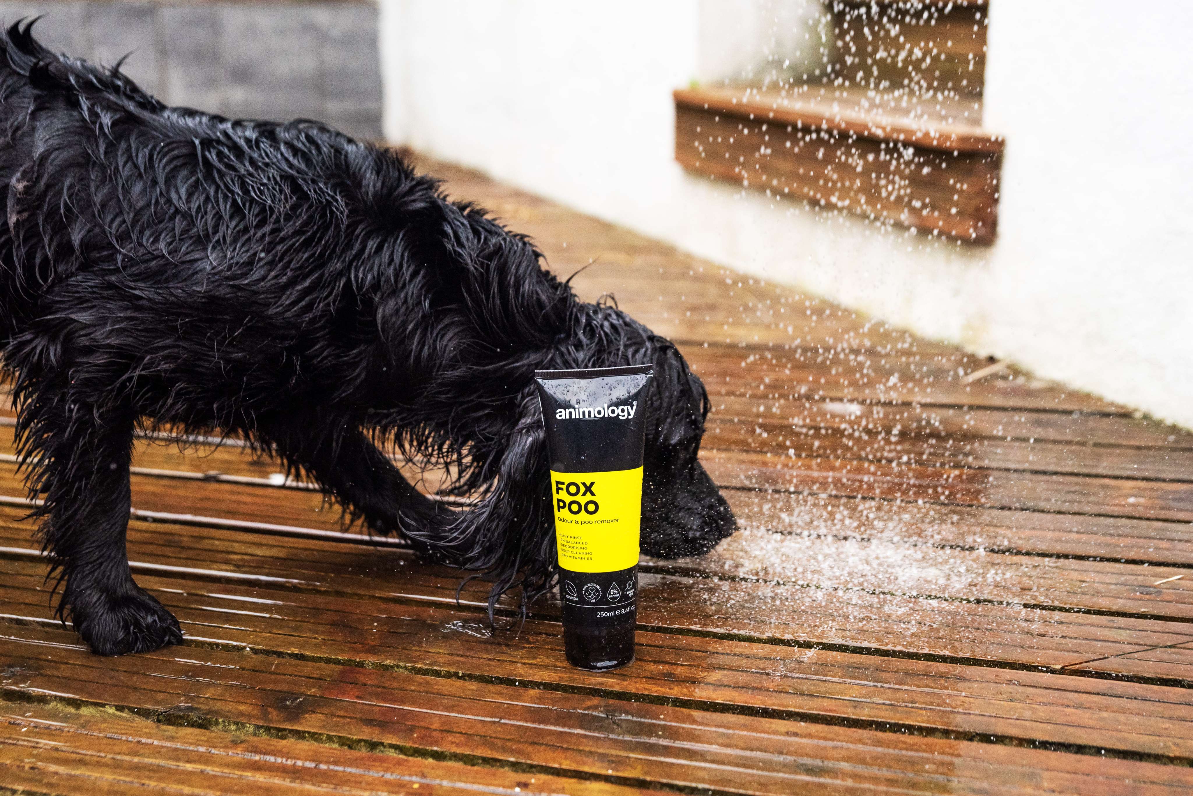 Fox Poo Shampoo