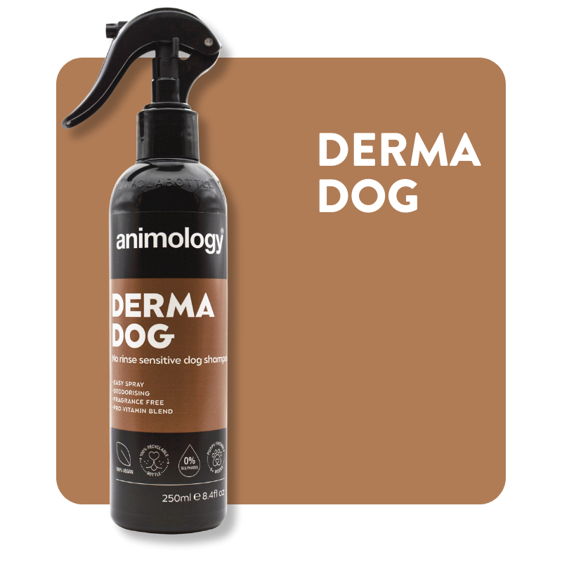 Derma Dog No Rinse Sensitive Dog Shampoo Spray Animology
