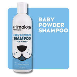Essentials Baby Powder Shampoo 250ml