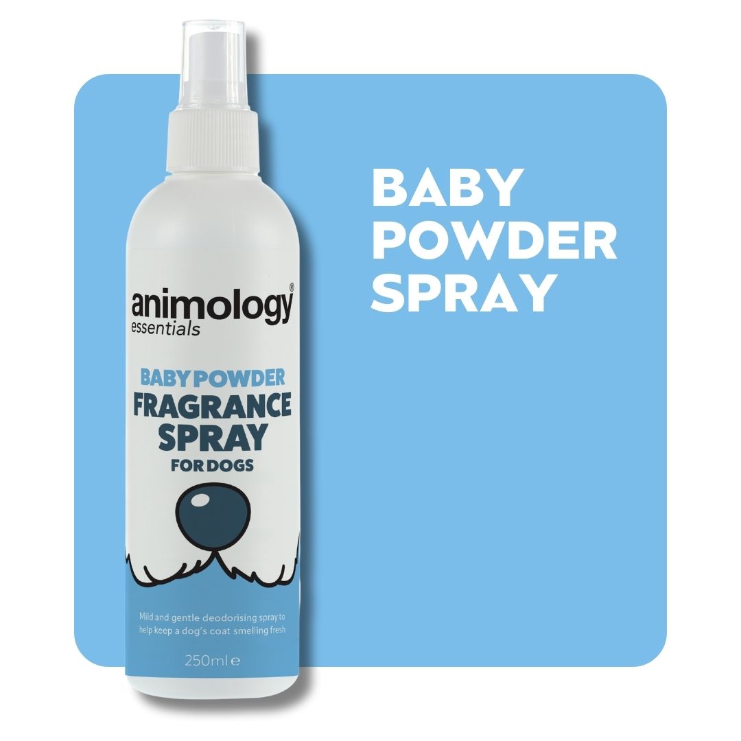 Essentials Baby Powder Fragrance Spray 250ml – Animology