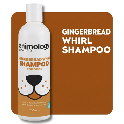 Animology Essentials Gingerbread Whirl Dog Shampoo 250ml