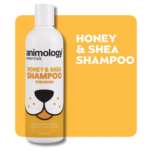 Essentials Honey & Shea Shampoo 250ml