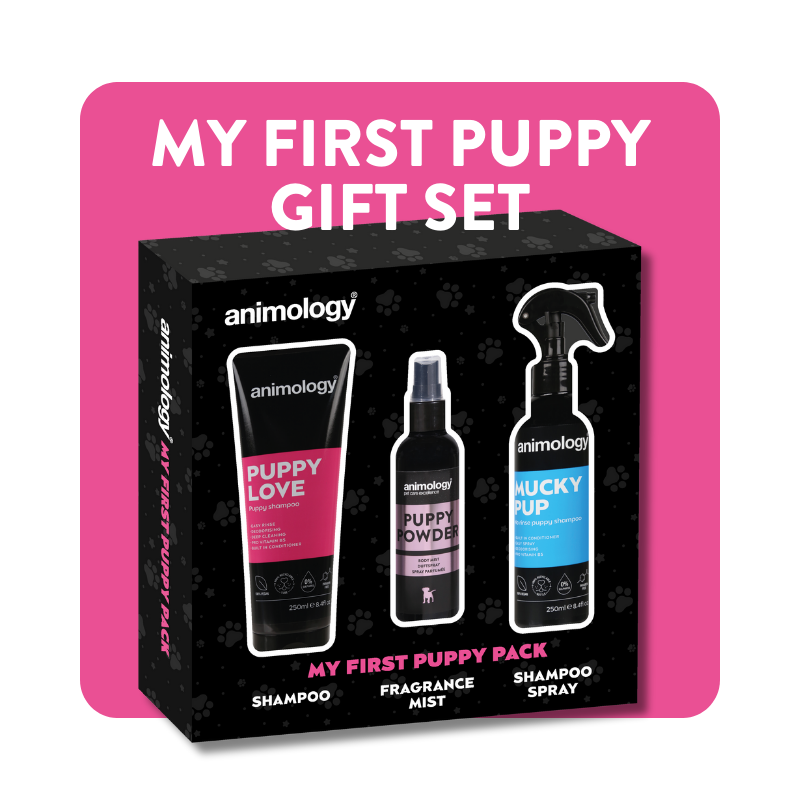 Animology clearance puppy love