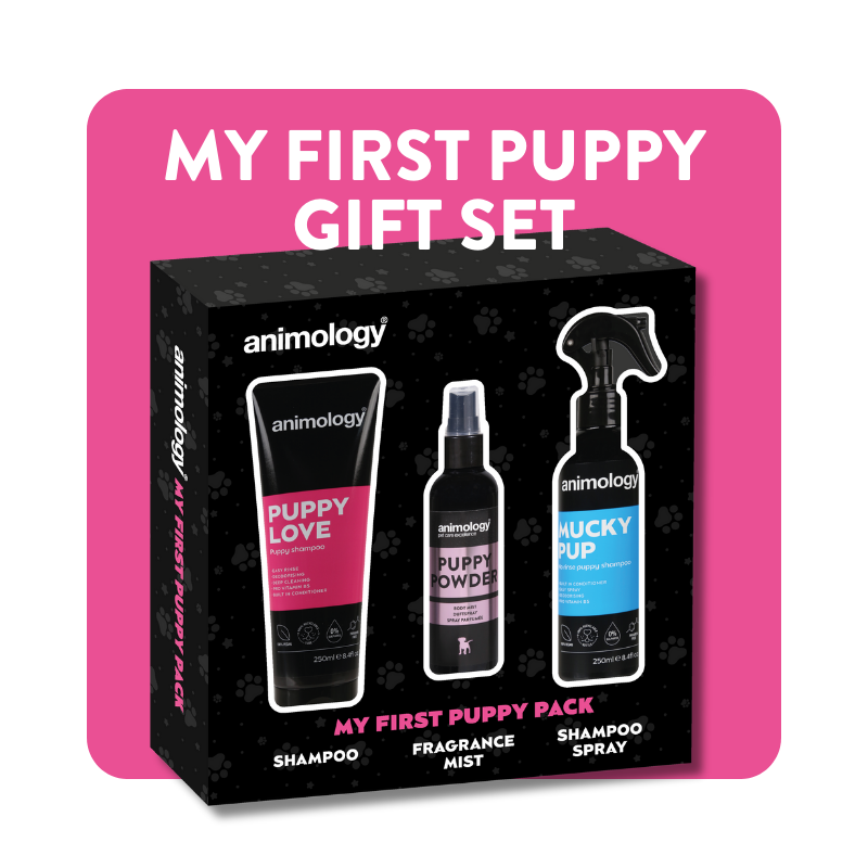 Puppy gift discount pack