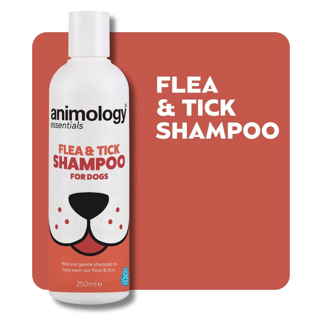 Essentials Flea Tick Shampoo 250ml Animology