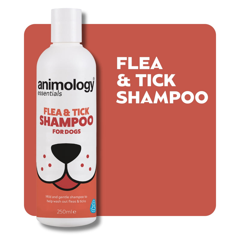 Essentials Flea & Tick Shampoo 250ml