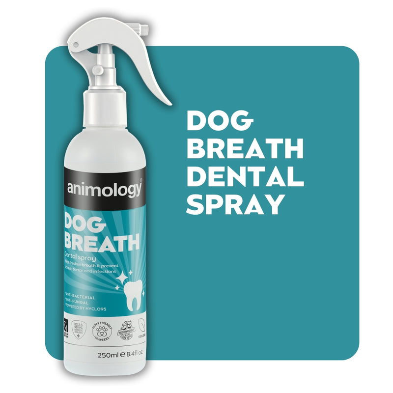 Dog Breath Dental Spray, 250ml