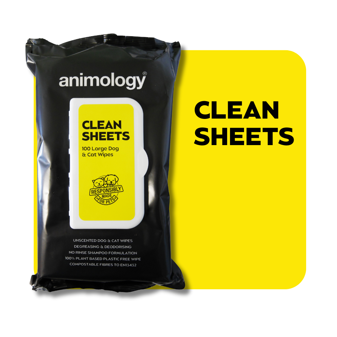 Clean Sheets Pet Wipes 100 Pack