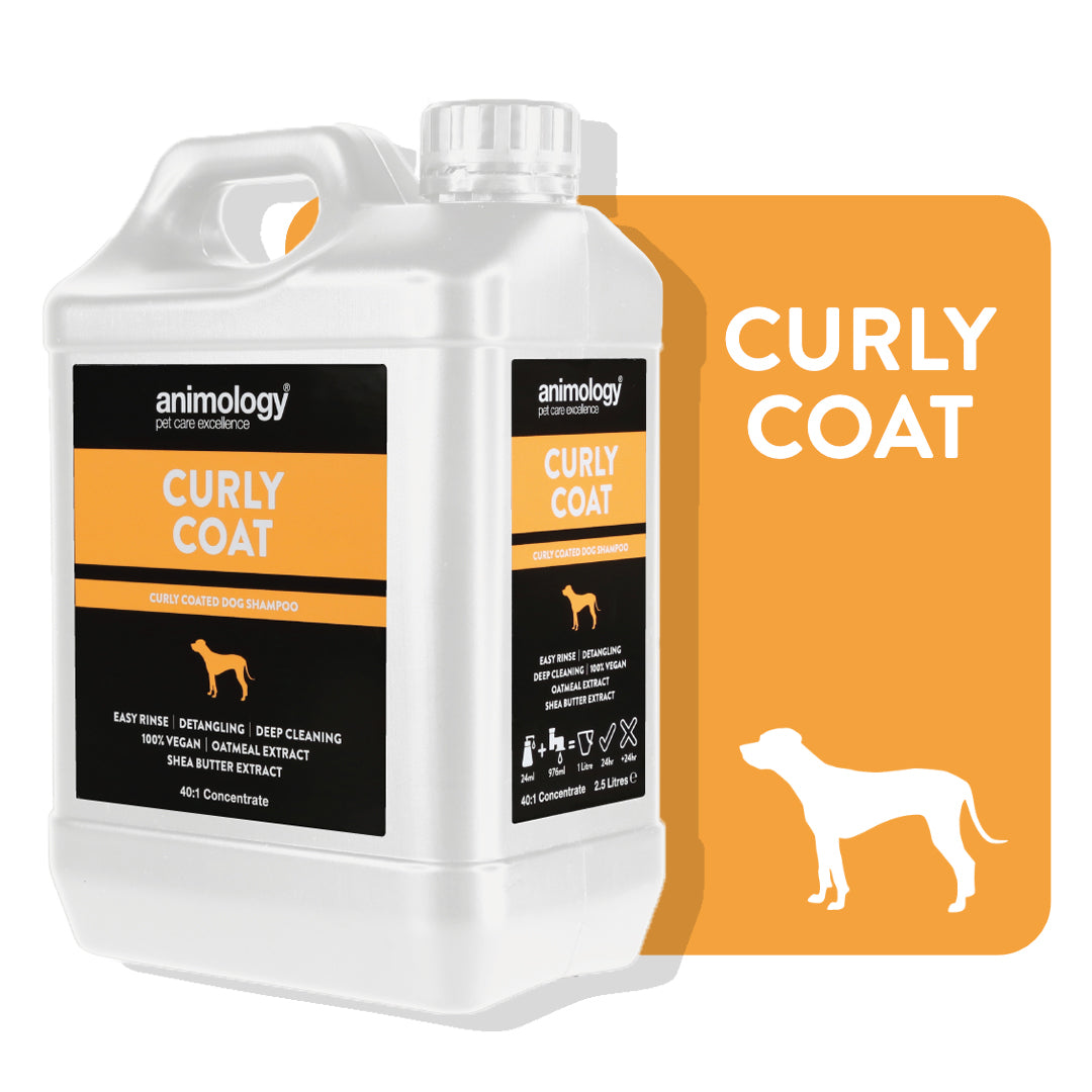 Curly hair dog shampoo sale