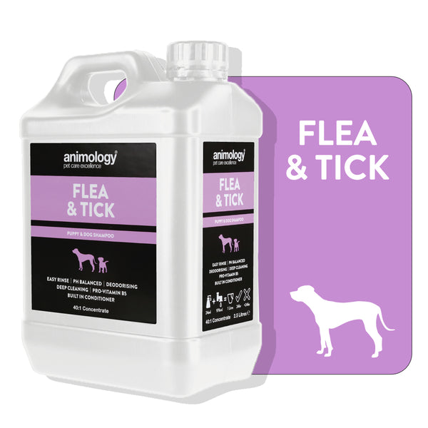 Royal pet flea outlet and tick shampoo