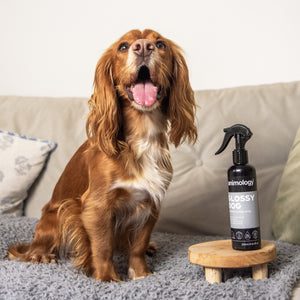 Glossy Dog Conditioning Dog Spray 250ml