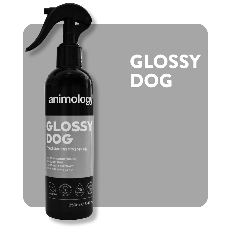 Glossy Dog Conditioning Spray 250ml | Animology