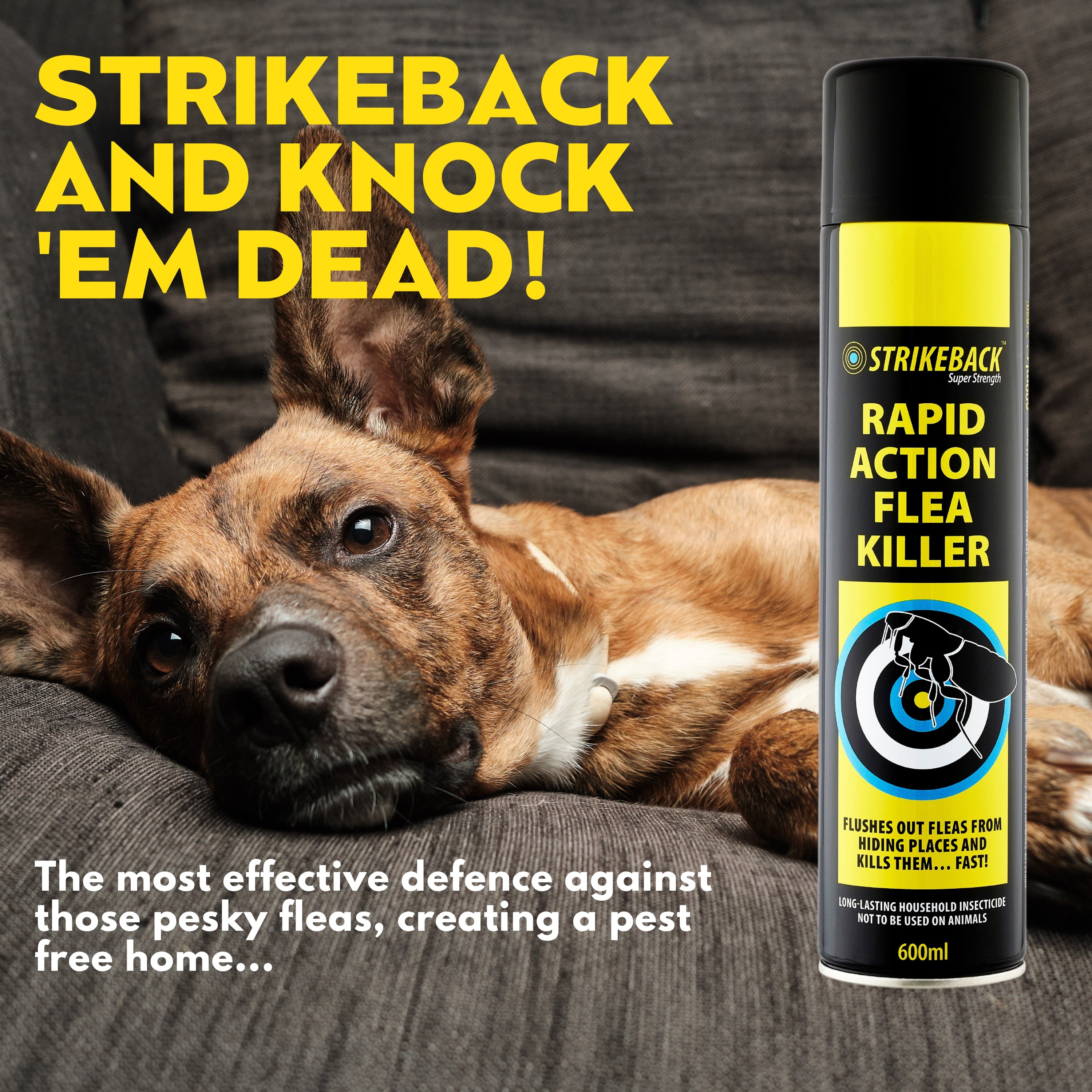 Strikeback Rapid Action Flea Killer Aerosol 600ml