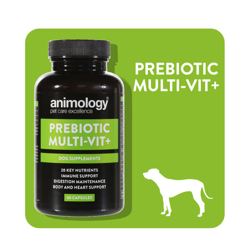 Prebiotic Multi-Vit+ Dog Supplement