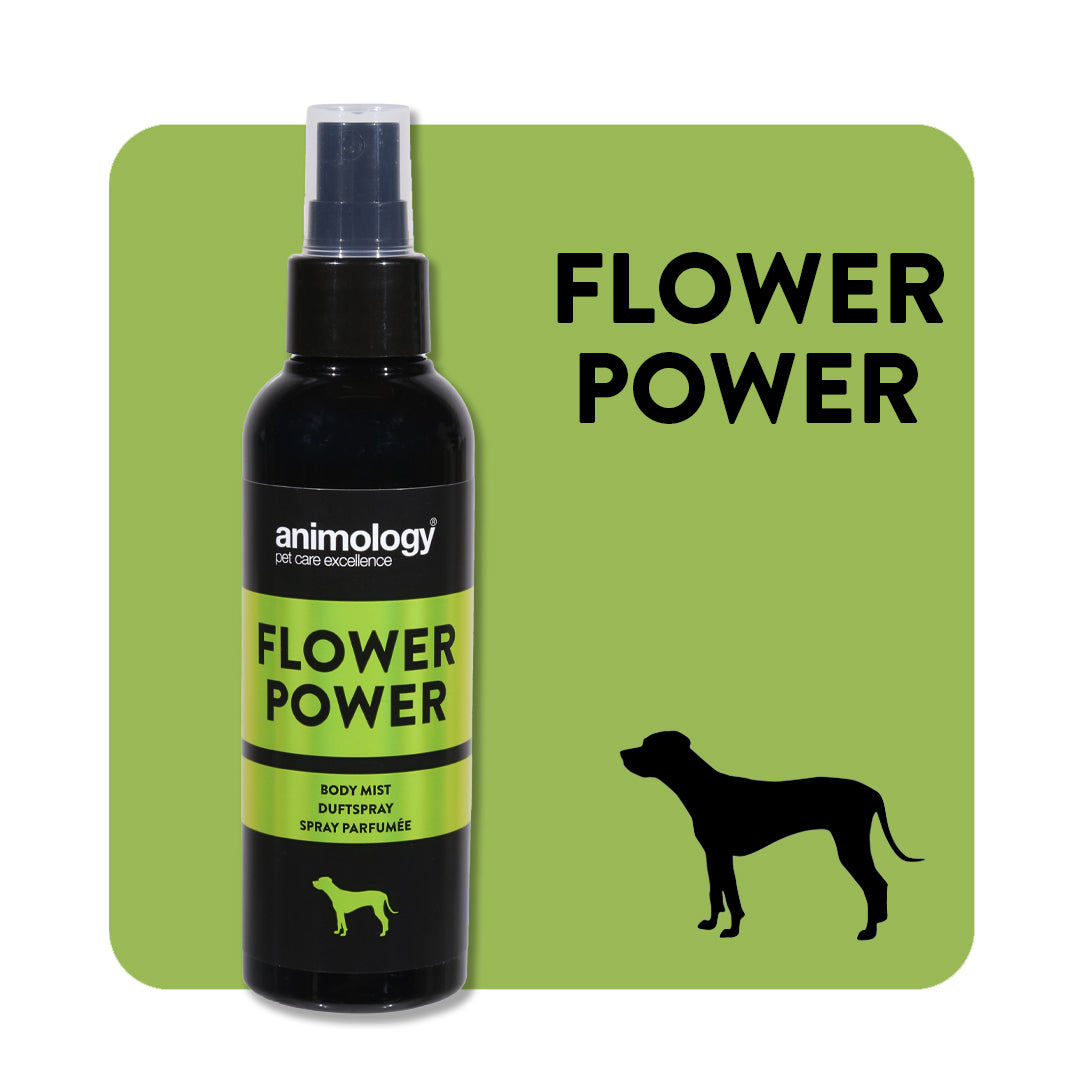 Dog shop body mist